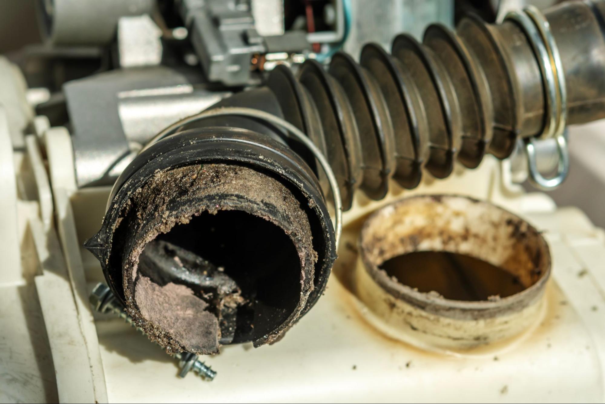 Afvoer wasmachine ontstoppen: zo los je het op 2 Sterk vervuilde afvoerslang en binnenkant van een wasmachine, verstopt door opgehoopt vuil en aanslag